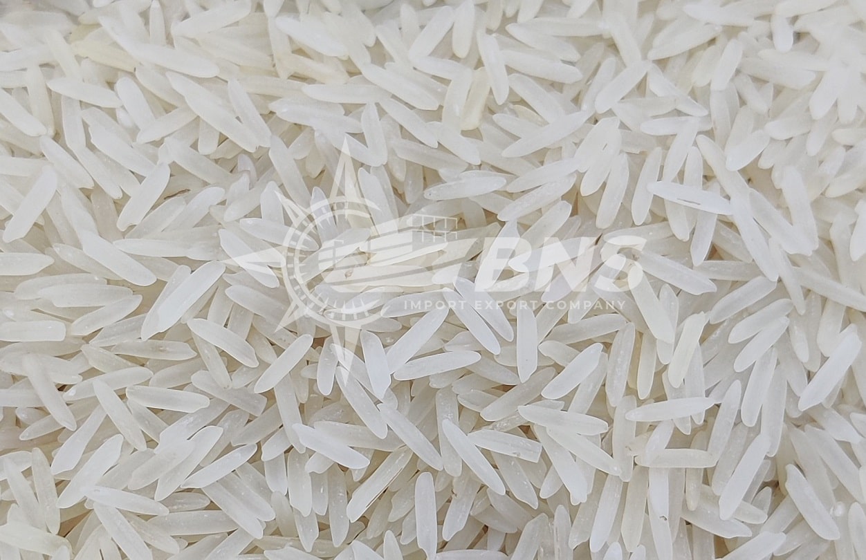 SUGANDHA RICE
